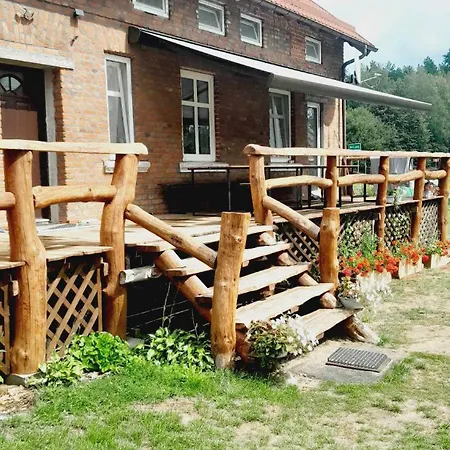 Sarnogrod - Z Alpakami * Babieta