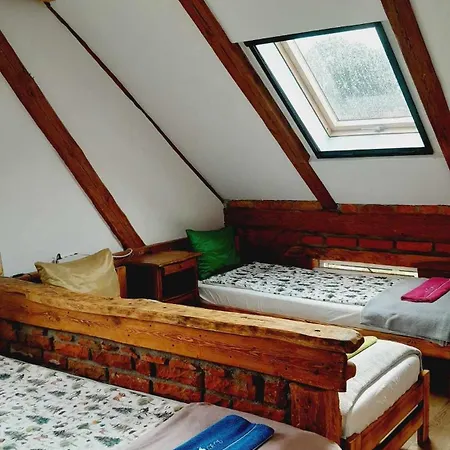 Sarnogrod - Z Alpakami Babieta