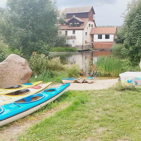 Sarnogrod - Z Alpakami