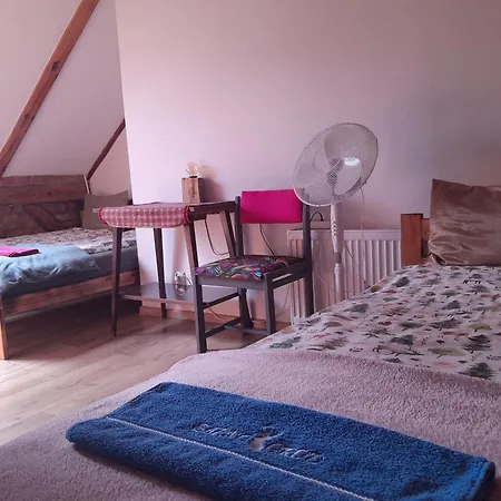 农家乐 Sarnogrod - Z Alpakami